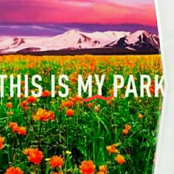 Adidas Ivy Heart ❤ Release 2-9-22 - Picture 12 of 15